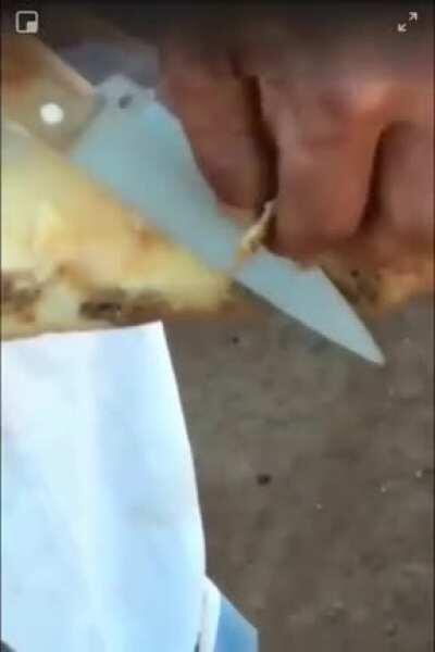 Dude slices off pieces of his foot callus. Doggo proceeds to consume said pieces.