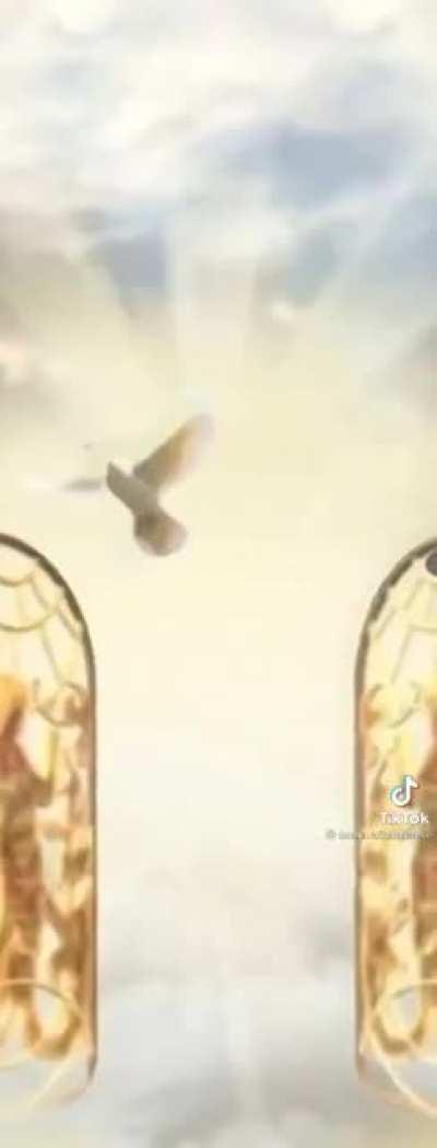 1 second in you know exactly where this is going