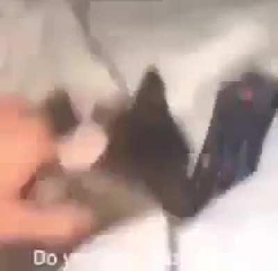 Better than the previous one I posted