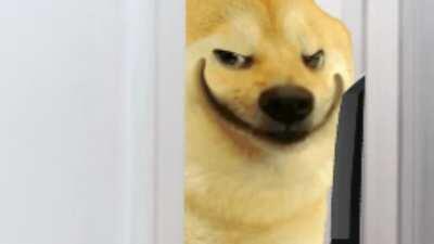 Le Red Robin has arrived