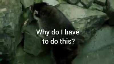 When someone asks me to get out of my cave: