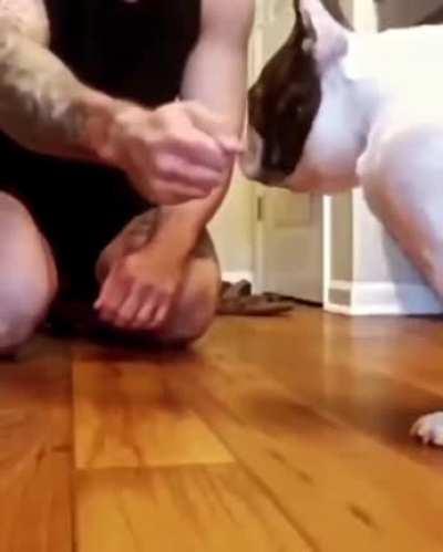 The dog reaction to this magic trick is priceless.
