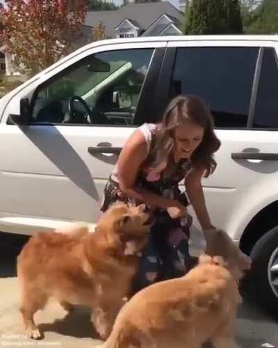 After a long time they finaly saw lucy