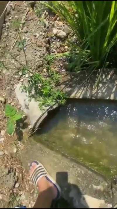 Что могло пойти не так?