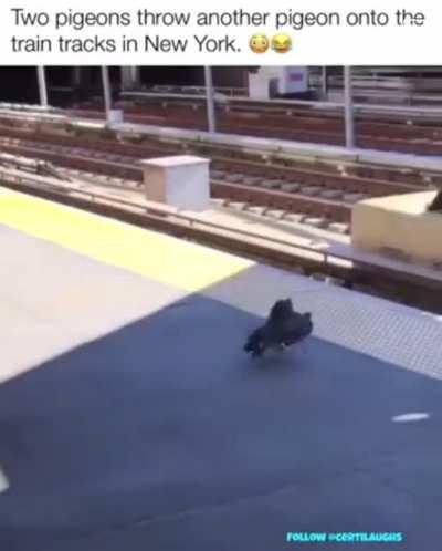 Target has been eliminated