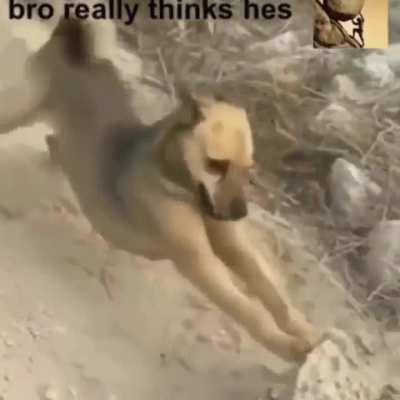 Tudo ta lembrando sisifos