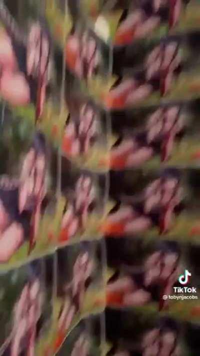 Most sane danganronpa fan 😔