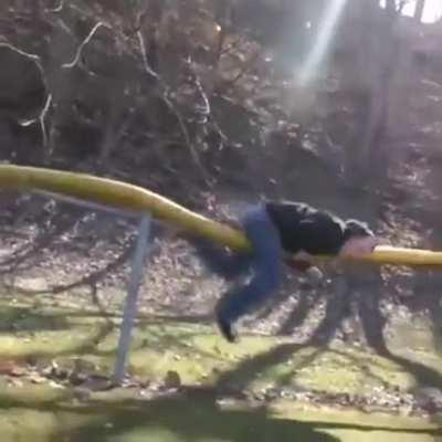 And the darwin award goes to....