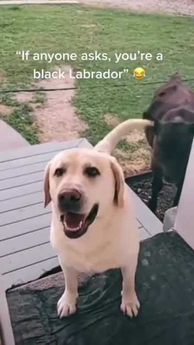 To invite a friend over unannounced.