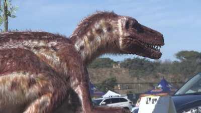 Squeaky Dino at the Del Mar Fairgrounds