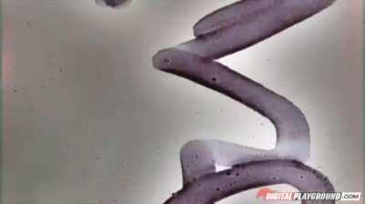 Little Amia goes fishing with Big Ramon