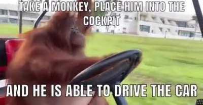 Niki Lauda once said…