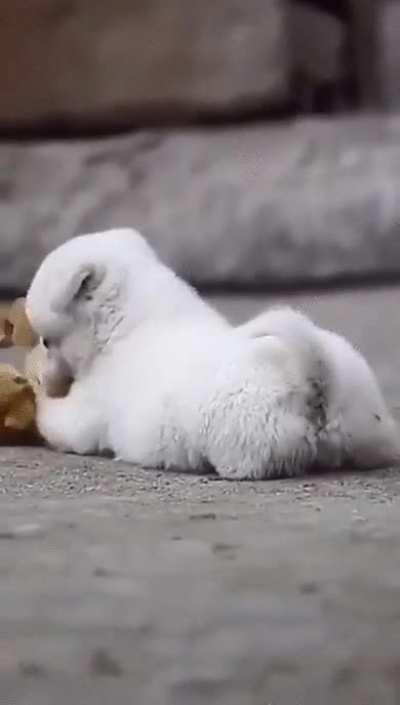 A little something to brighten your day