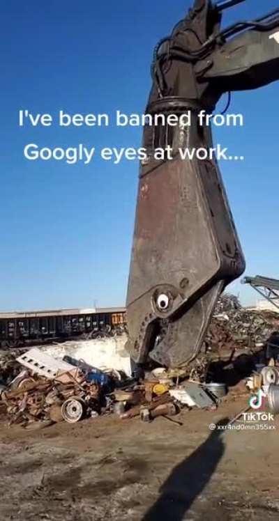 Possibly the largest googly eyes