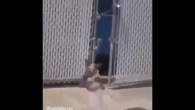 Real :😡 fake:😁