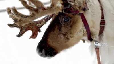 Nooo santa le mando un saludo a un autista 😳😳😳