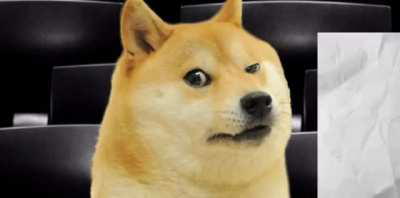 Doge Hosts The 2020 Presidential Debate