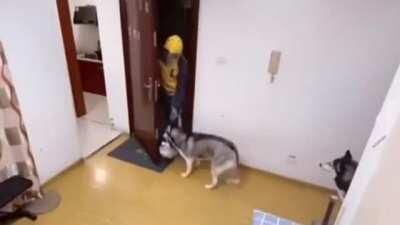 Thank you, delivery man, that is all.