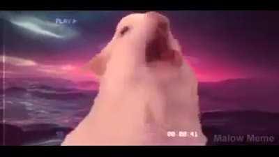 Found this from my friend on my discord server