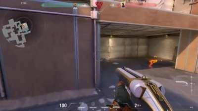 They don't kn- Oh wait what?