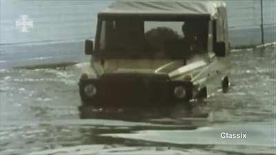 Wake up - It is WOLF Thursday