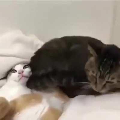 Here .... have a face full of my ass