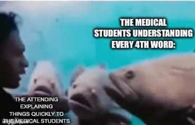 This is how the attendings get you on the hook🎣