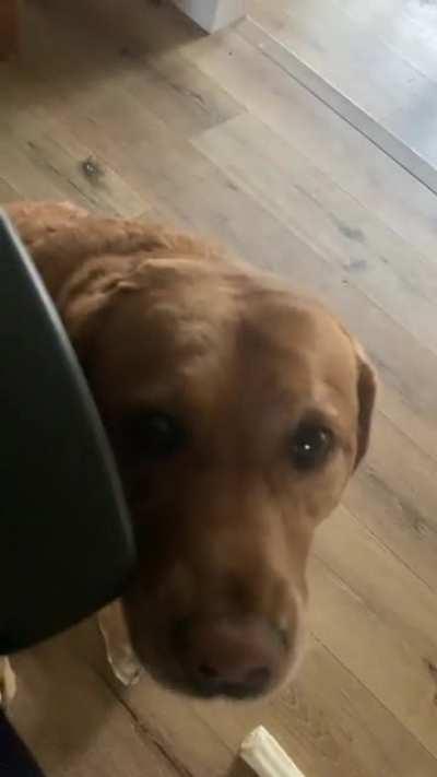 i was referred to post this here