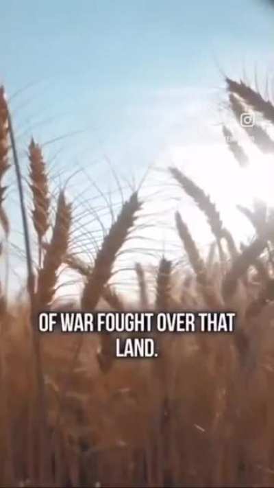 Why these endless wars … An unlikely source explains