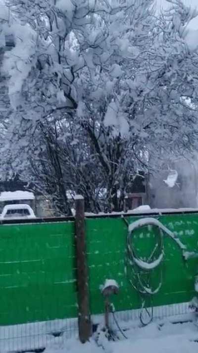 quien es el pelotudo que quiere sacar el subsidio del gas y la luz en la Patagonia?