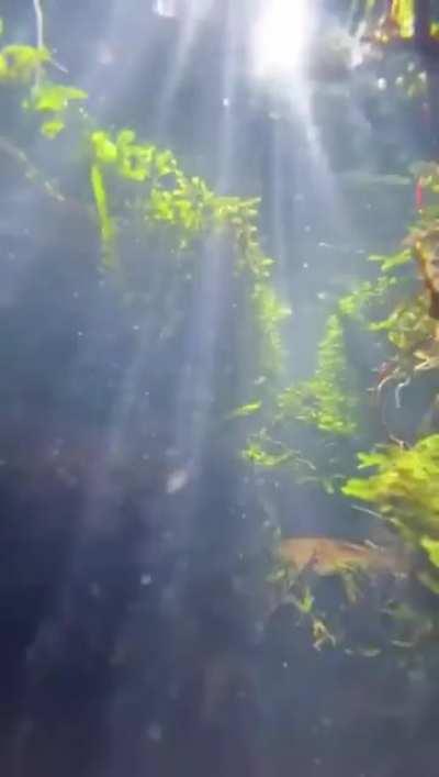 Whole new perspective