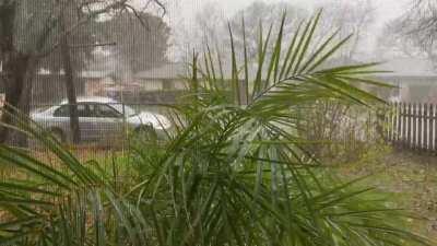 A rare and rainy day through a screened window in Austin, TX