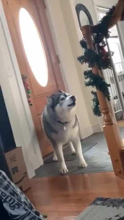 so dramatic! 🤣💕