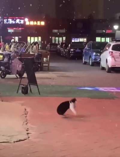 redscarepod - Video #8412