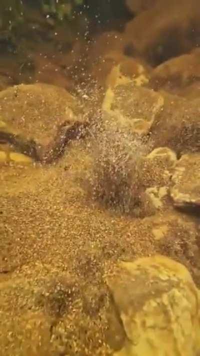 🔥 Newly formed natural spring.