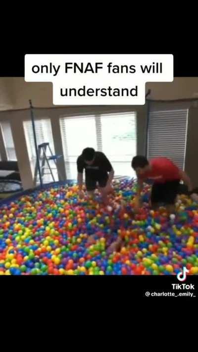 Only FNaF Fans would Understand