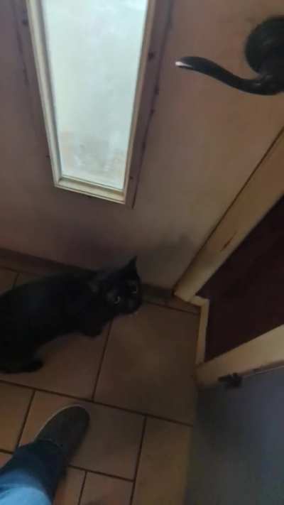 Bean heard I was going to check the mail without him