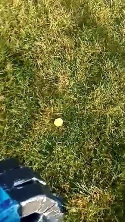 Coin punching, touchgrass% (cool robot arm)