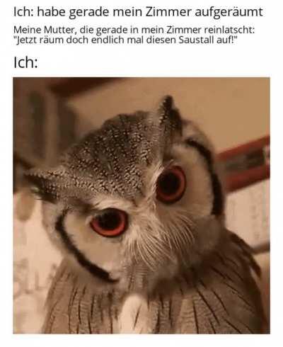 Ach ja, die Freuden als ich noch bei meinen Eltern gewohnt hab