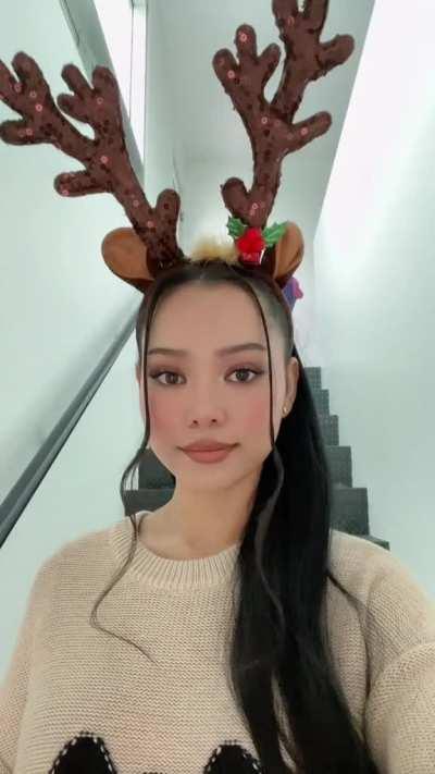 Reindeer tiktok