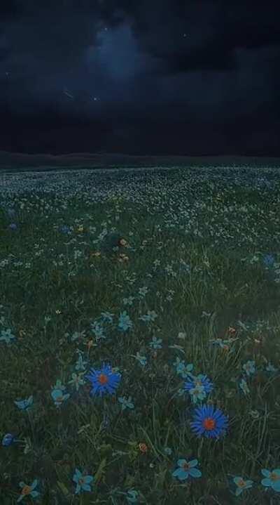 a medley sea, as far as the eye can witness