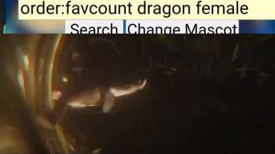 Average life of a dragon lover 