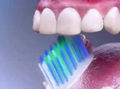 Onii chan, that's not how you use it