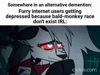 Losercity multiverse