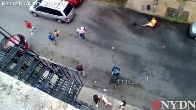 Two dogs maul senior in the Bronx