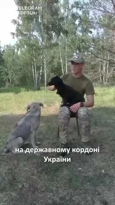 Kulya and Gilza came to the Ukrainian border guards through the forest from Belarus. Having changed their Belarusian citizenship, they faithfully serve on the Ukrainian border