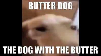 HOLY SHIT ITS BUTTER DOG