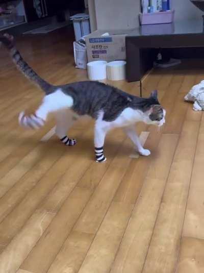 HMC while I slip into something more comfortable