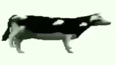 Its very important to my mental sanity that I know this song