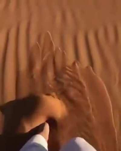 This sand looks like water